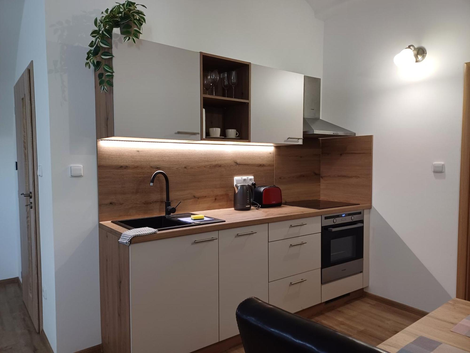 Ferienwohnung Martinuv Dvur Pilsen Exterior foto